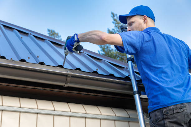 Best Gutter Installation and Repair  in Ridgewood, IL