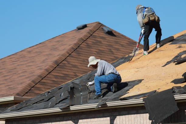 Best Metal Roofing Installation  in Ridgewood, IL